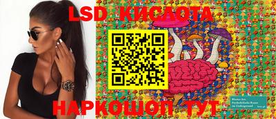 ГАЛЛЮЦИНОГЕННЫЕ ГРИБЫ Ярославль