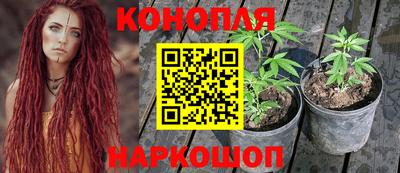 ГАЛЛЮЦИНОГЕННЫЕ ГРИБЫ Ярославль