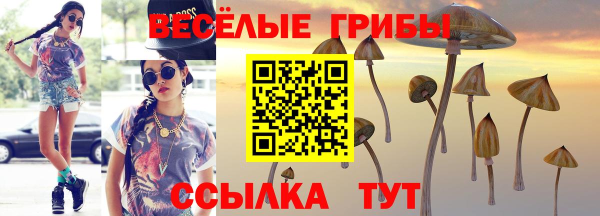 Галлюциногенные грибы Cubensis Реутов